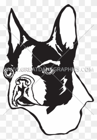 Head Clipart Boston Terrier - Illustration - Png Download