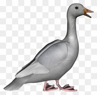 Posted By Todd A At - Goose Clipart Png Transparent Png