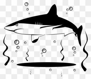 Big Image - Duck Clipart Shark Black And White - Png Download