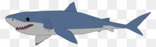 Great White Shark Clipart Mako Shark - Great White Shark Clip Art - Png Download