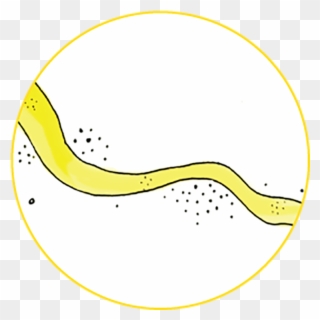 Fireflies River - Circle Clipart