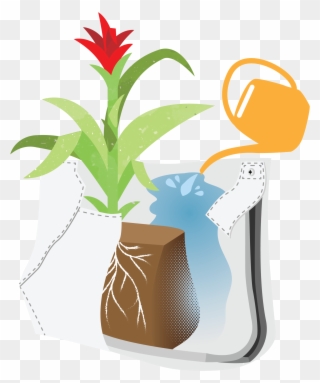 Ii Pocket - Flowerpot Clipart