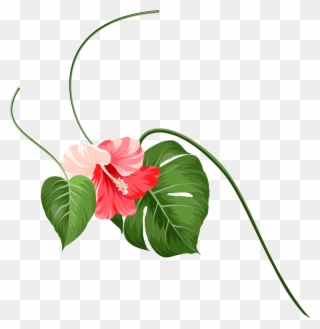 Make Sure You Factor The Cost Of Getting There Into - Anthurium Clipart