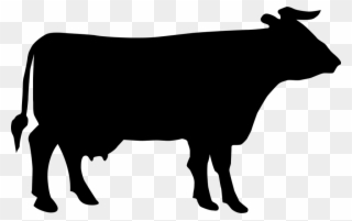 Beef Entry Forms - Cow Silhouette Clipart