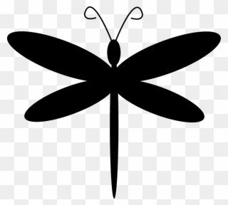 Download Dragonfly Clipart Black And White Black And White Dragonfly Transparent Background Png Download Full Size Clipart 640009 Pinclipart