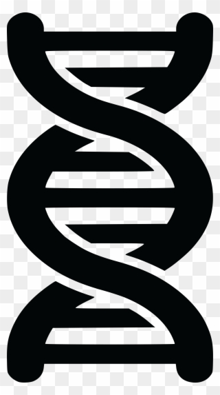 Free Clipart Of A Black And White Dna Strand Double - Double Helix Png Transparent Png