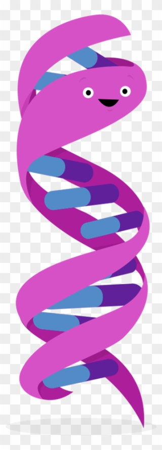 Human Genome Project - Genoma Humano Dibujo Clipart