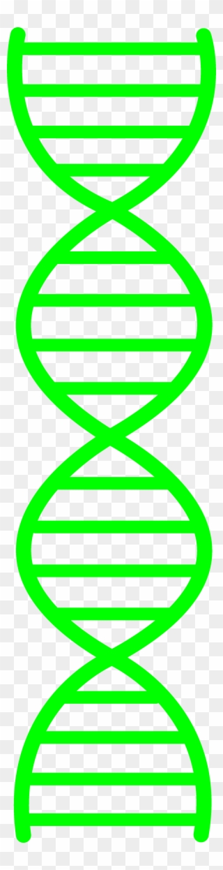 Green Dna Design - Dna Double Helix Black And White Clipart