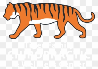 Tiger Family Chiropractic - Side Tiger Clip Art - Png Download