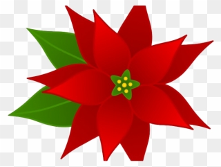 Christmas Poinsettia Clipart - Transparent Poinsettia Clipart - Png Download