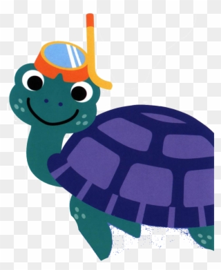 Neptune The Turtle Turtle, Projects To Try, Tortoise, - Baby Neptune 2003 Dvd Clipart
