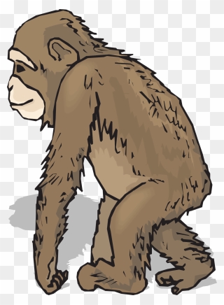 Chimpanzee Clipart Realistic - Animals With Fur Clipart - Png Download