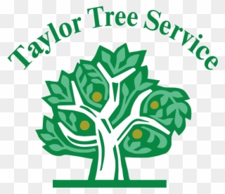 Taylor Tree Service - People Say Walking On Water Is Miracle Clipart