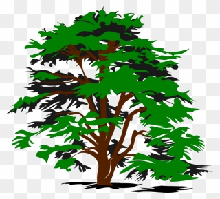 We Do Our Best To Bring You The Highest Quality Cliparts - Vector Trees Png Transparent Png