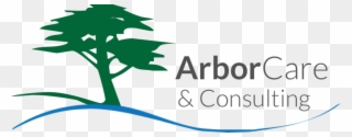 Arborcare And Consulting Clipart