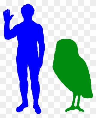 Cuban Giant Owl Big Animals - Biggest Owl Compared To Human Clipart