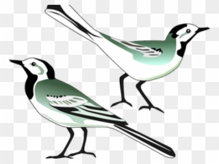 Mockingbird Clipart Burung - Klip Art Burung - Png Download