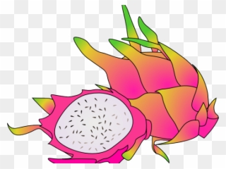 Pitaya Clipart Cartoon - Dragon Fruit Clipart - Png Download