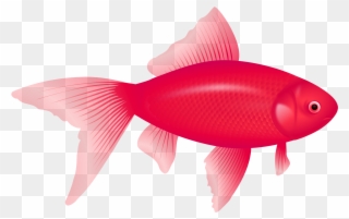 One Fish, Two Fish, Red Fish, Blue Fish Clip Art - Transparent Background Clipart Fish - Png Download