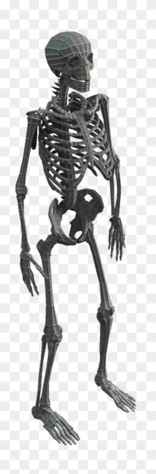 Character Base Mesh Skeleton Low Poly 3d Model 1 V=1456744181 - 3d Skeleton Png Clipart