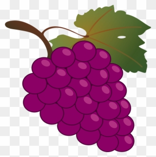 Grape Kyoho Wine Harvest Vine - Grapes Clipart - Png Download