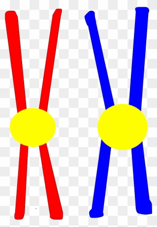 Vector Freeuse File Pair Svg Wikimedia Clipart