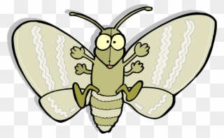 Moth Png Picture - Cartoon Moth Clipart