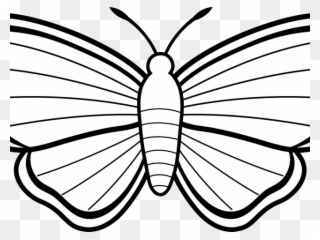Luna Moth Clipart Coloring Page - Colouring Sheet Of Butterfly - Png Download