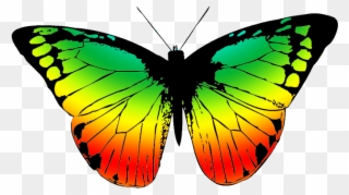With Many Colors - Butterfly Wings With A Transparent Background Clipart