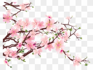 Cherry Blossom Clipart File - Cherry Blossom Tree Png Transparent Png
