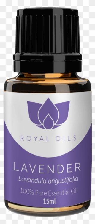 Royal Oils Lavender - Royal Oils Eucalyptus Essential Oil, Blue Clipart