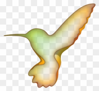 Colibri Clipart