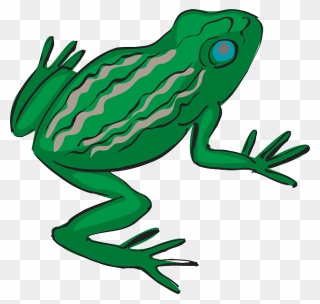 Blue - Tropical Frog Transparent Clipart