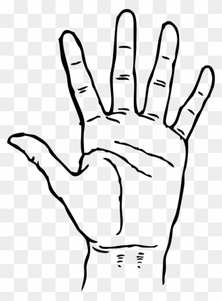 And White,five,fingers, - Clip Art Hand - Png Download
