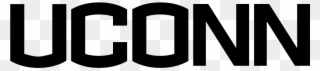 Husky Clipart Connecticut University - Uconn White Logo - Png Download