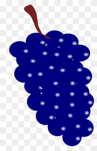 Common Grape Vine Wine Computer Icons Fruit - Blue Grape Clipart - Png Download