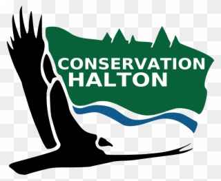 Conservationhaltonlarge - Halton Region Conservation Authority Clipart