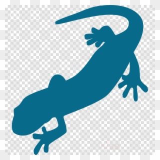 Salamander Clip Art Clipart Salamander Newt Clip Art - Newt Clipart - Png Download