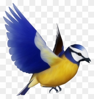 Flying Bird Clipart Bird Png - Flying Colourful Birds Png Transparent Png