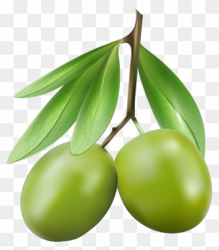 Green Olives Png Clipart