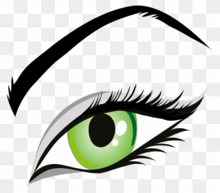 Eye, Green Eyes, Iris, Eyelid, Eyebrows, Brows, Seeing - Eye Clipart - Png Download