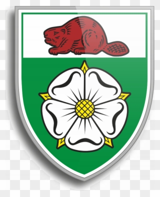 Imo The Ugliest Logo Is Calais Rufc's Logo - Calais Racing Union Fc ...