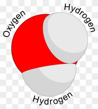 A Model Of A Water Molecule - Thick Water Molecule Clipart
