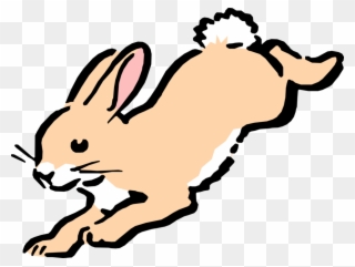 Cartoon Bunny Hops Image - Animals That Jump Clipart - Png Download