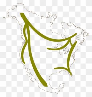 Simplified North America Map Showing Green Paths Of - Alaska Clipart
