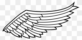 Eagle Black And White Clip Art At Clker Com Gallery - Angel Wing Clipart Png Transparent Png