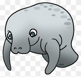 Manatee Cliparts Background - Clipart Transparent Manatee Gif - Png Download