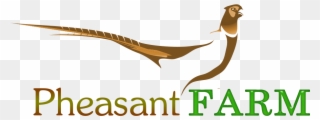 Pheasant Logo Clipart