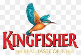 Icc Sign Champions Trophy Deal With Kingfisher Lager - Kingfisher Beer Kingfisher Logo Clipart