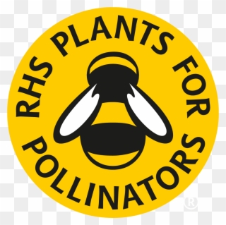 Cornfield Annual Mixture 44 P5bekm5d600x3725bekm5d - Plants For Pollinators Logo Clipart